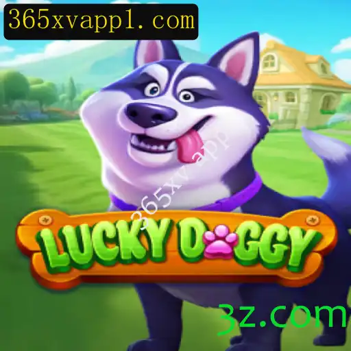 Explorando o Mundo do Jogo LuckyDoggy e o Aplicativo 365xv